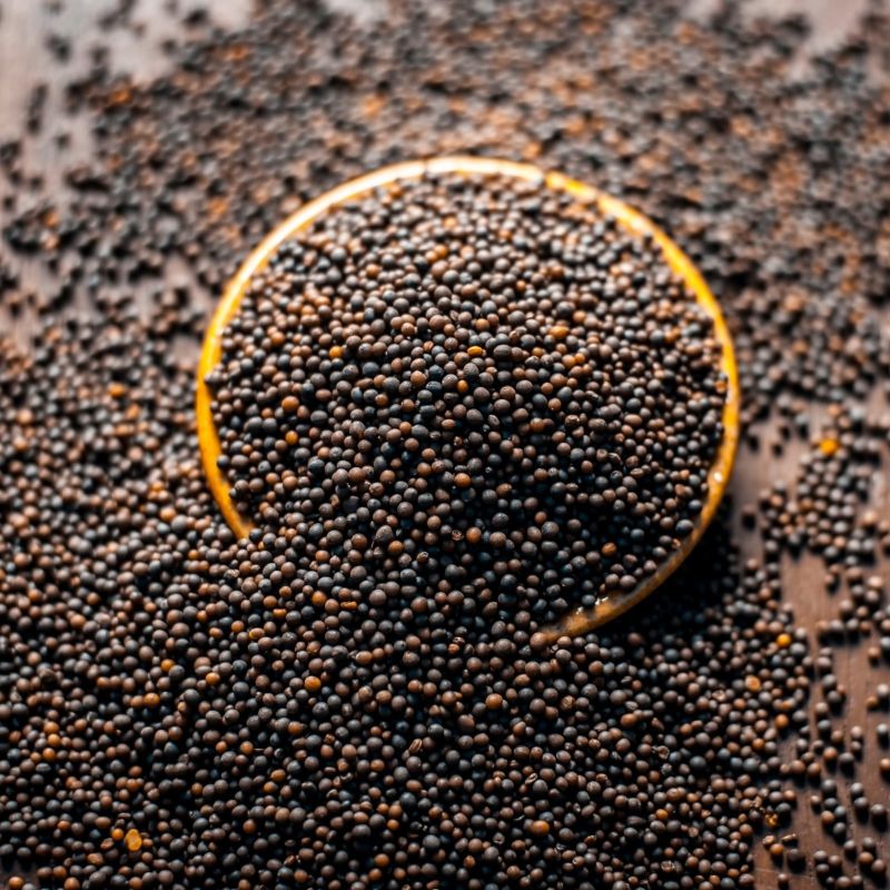Black Natural Mustard Seeds