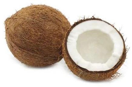 Common Fresh Coconut, Packaging Type : Gunny Bags