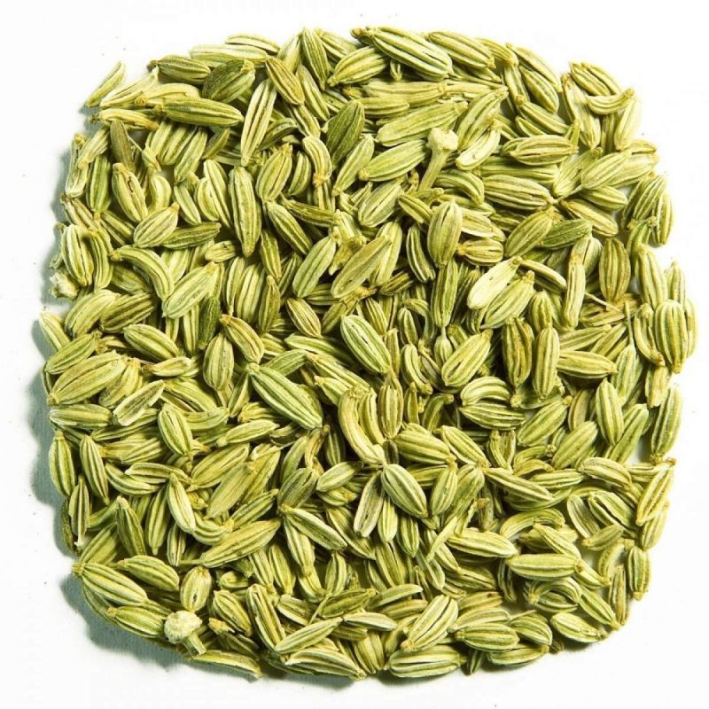 Raw Green Natural Fennel Seeds, Packaging Size : 20 Kg