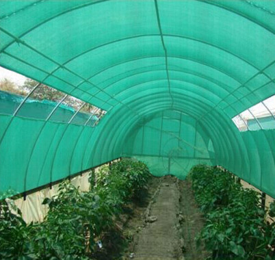 HDPE Agro Shade Net, Length : 20-30mtr