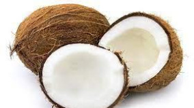 Soft coconut for Pooja