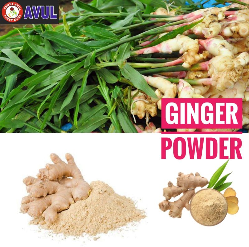 Dehydrated Ginger Powder