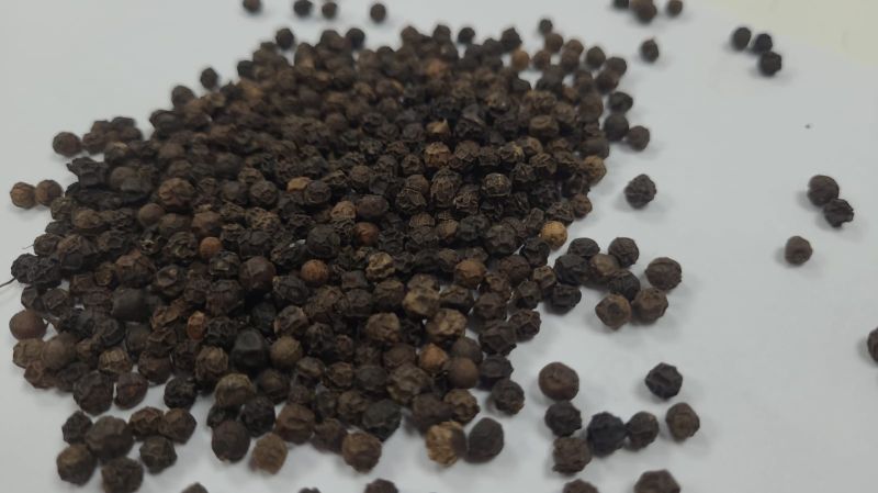 Black Pepper Seed, Grade Standard : Food Grade