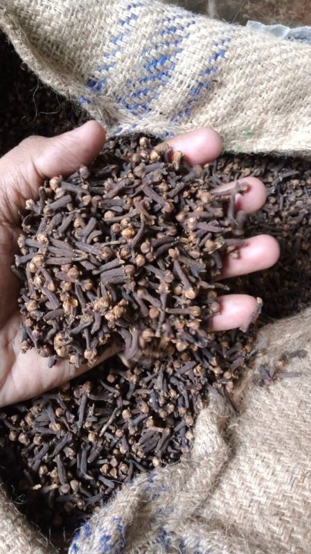 Dry Cloves For Spices