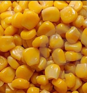 Organic Frozen Sweet Corn for Human Consumption