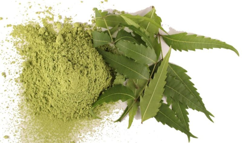 Organic Neem Powder for Cosmetic Products