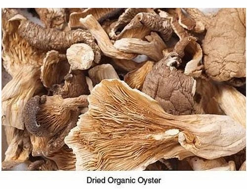 Organic Dry Oyster Mushroom