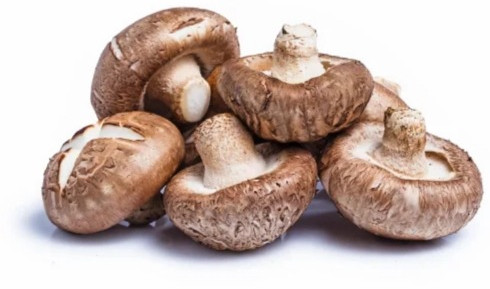 Natural Shitakes Mushroom for Cooking