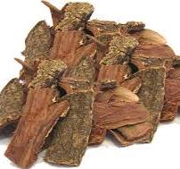 Natural Acacia Bark for Used in Herbal Medicines
