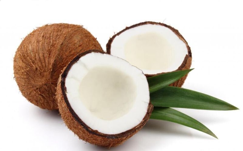 Hard Natural Semi Husked Coconuts for Pooja, Medicines, Cosmetics, Cooking