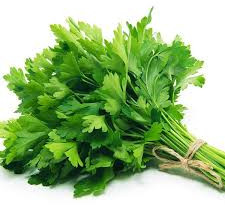 Raw Common fresh parsley for Cooking