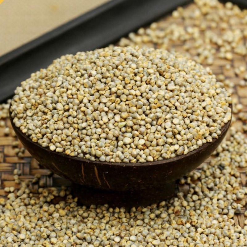 Organic Bajra Millet for Cooking, Cattle Feed