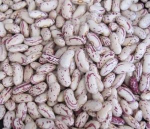Organic Light Speckled Kidney Beans for Cooking