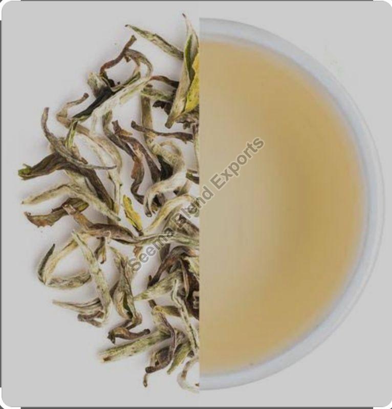 Raw Organic Assam White Tea for Home, Office, Restaurant, Hotel