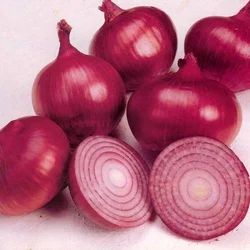 Natural Red Onion for Food