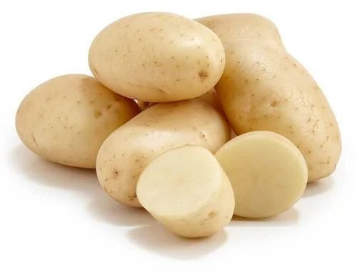 Organic Fresh Potato for Industrial