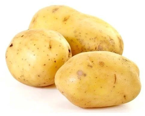 Natural Sugar Free Fresh Potato for Cooking