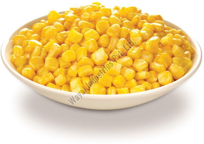 Frozen Sweet Corn for Pizza, Cooking, Snacks, Bakery