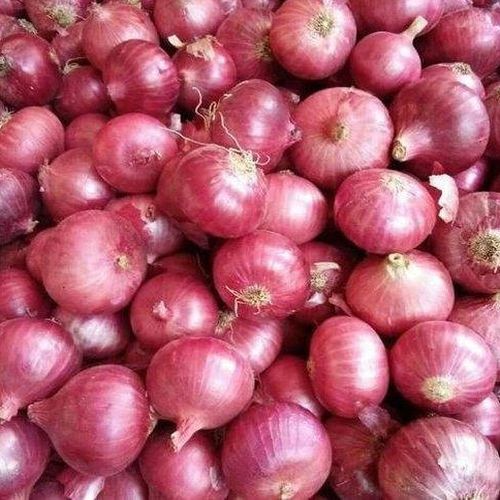 A Grade Red Onion for Human Consumption