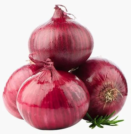 Big Red Onion for Human Consumption