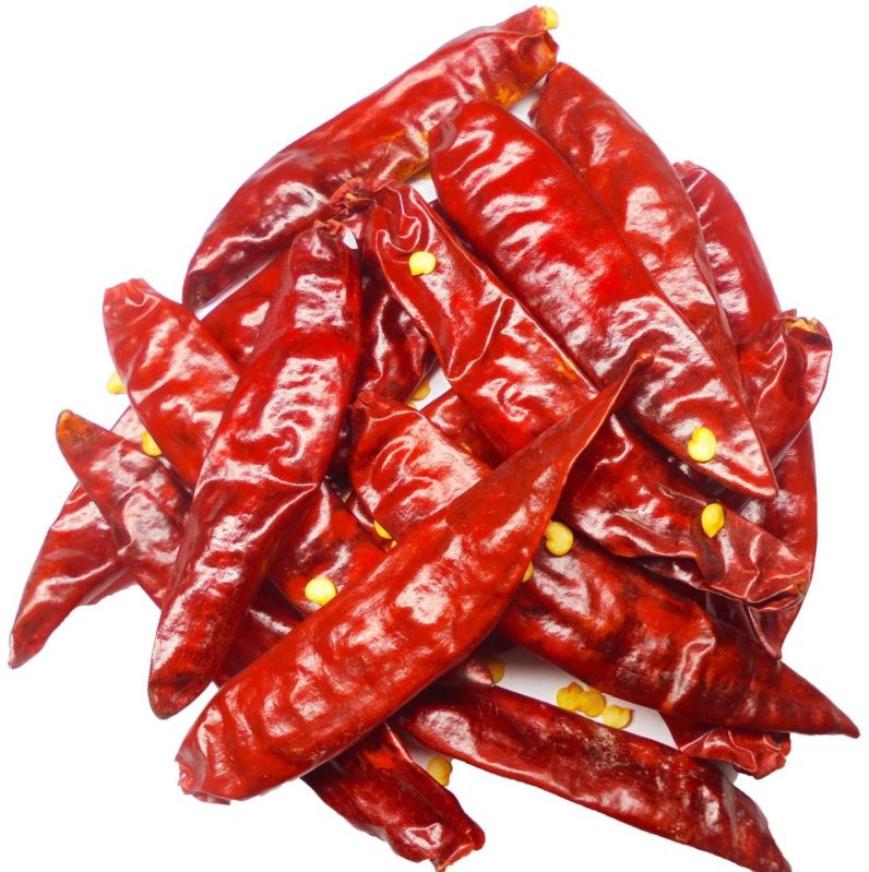 Natural Guntur Dried Red Chilli for Cooking