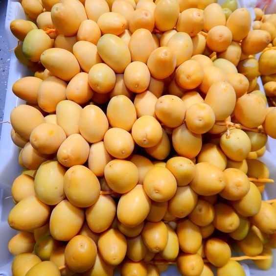 Fresh Yellow Barhi Dates