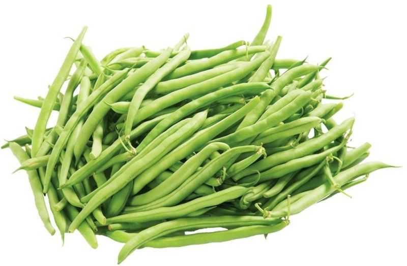 Organic Fresh Beans for Cooking