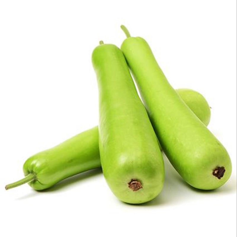 Fresh Bottle Gourd, Packaging Type : Gunny Bag