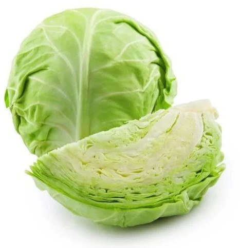 Fresh Cabbage for Cooking