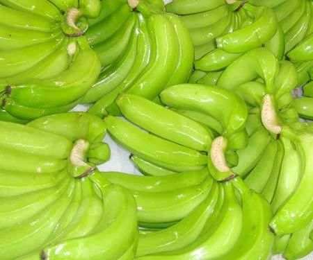 Organic Fresh Cavendish Banana for Human Consumption