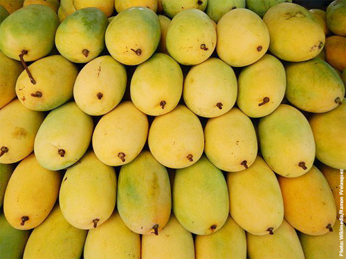 Fresh Himsagar Mango