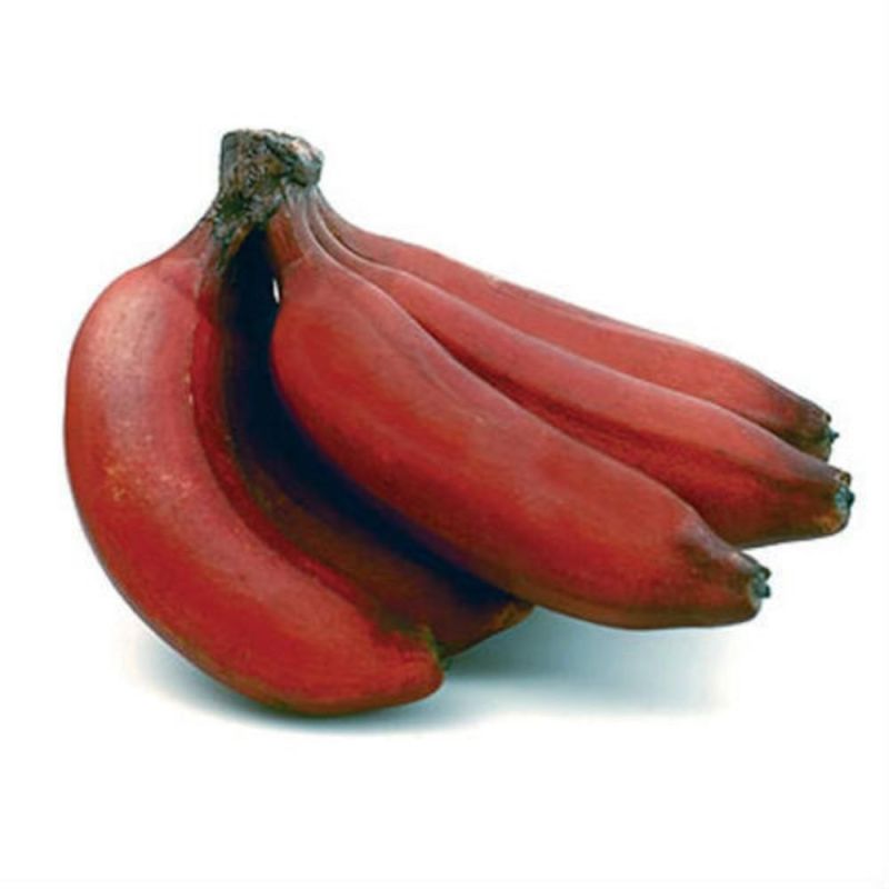 Organic Fresh Red Banana for Human Consumption