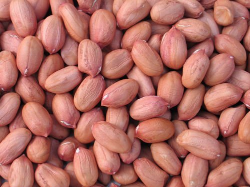 Raw Groundnut Seeds for Food, Cooking