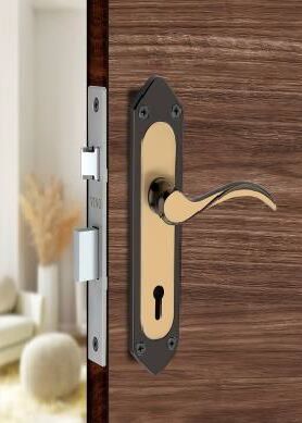 Polished Stainless Steel Front Door Lock, Handle Type : Lever