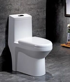 Polished Ceramic One Piece Toilet Seat, Shape : Oval