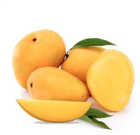fresh alphonso mango