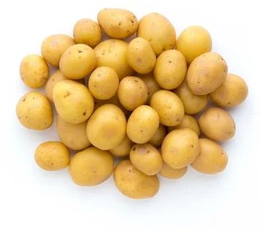 Natural Fresh Baby Potato for Cooking