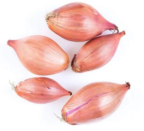 Natural Fresh Shallot Onion for Human Consumption