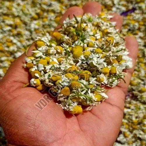 Natural Dried Chamomile Flowers for Decoration