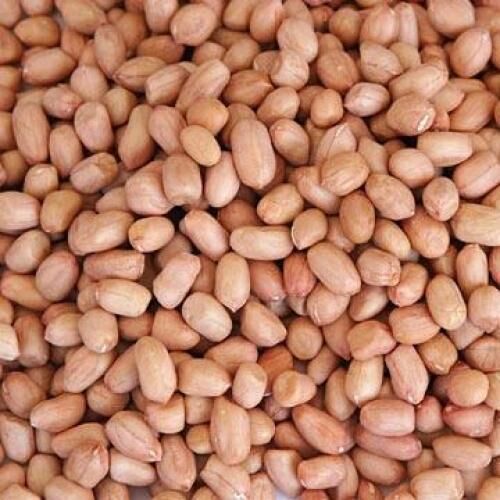 Natural Raw Peanuts for Cooking