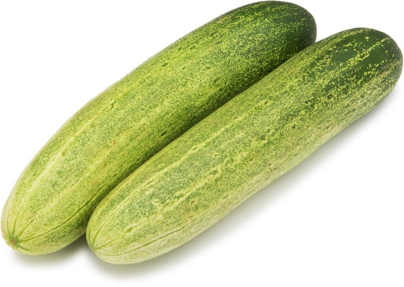 Fresh Cucumber, Shape : Cylindrical