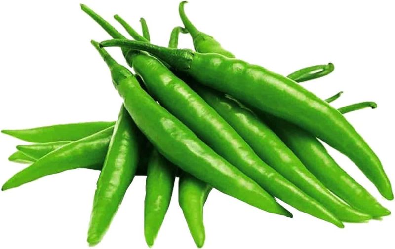Fresh Green Chilli for Cooking