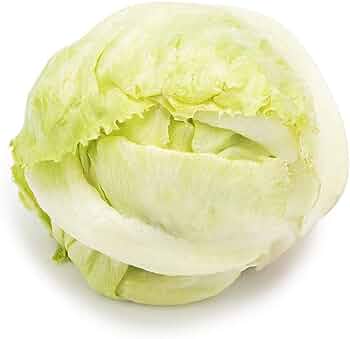 Fresh Iceberg Lettuce for Cooking