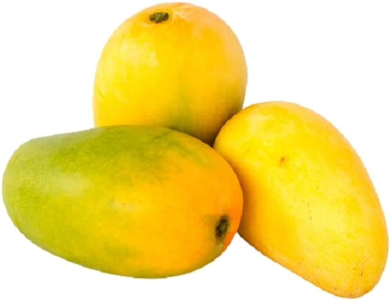 Organic Fresh Mango, Color : Yellow