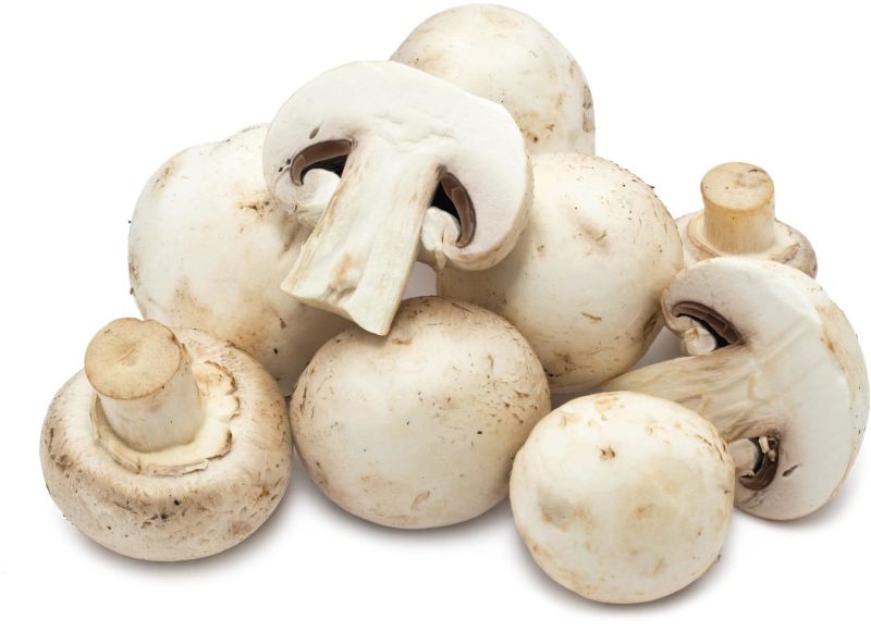 Fresh Mushroom, Shape : Round