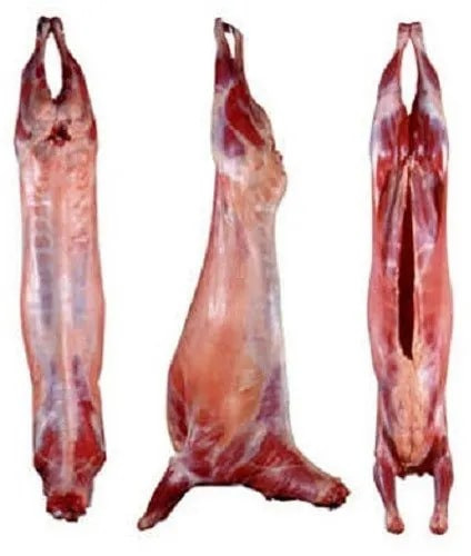 Frozen Goat Meat for Cooking