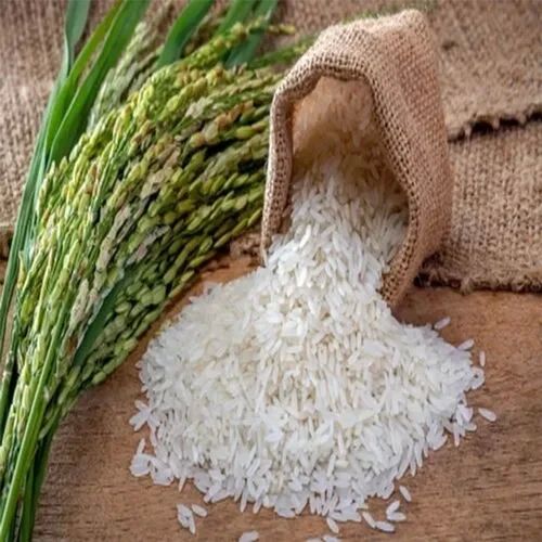 Organic Premium Basmati Rice for Cooking