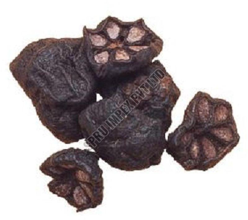 Dried Kokum for Culinary Spice