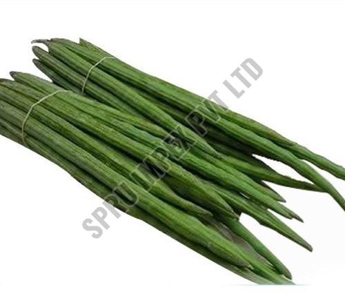 Natural Organic Fresh Drumstick for Human Consumption, Cooking