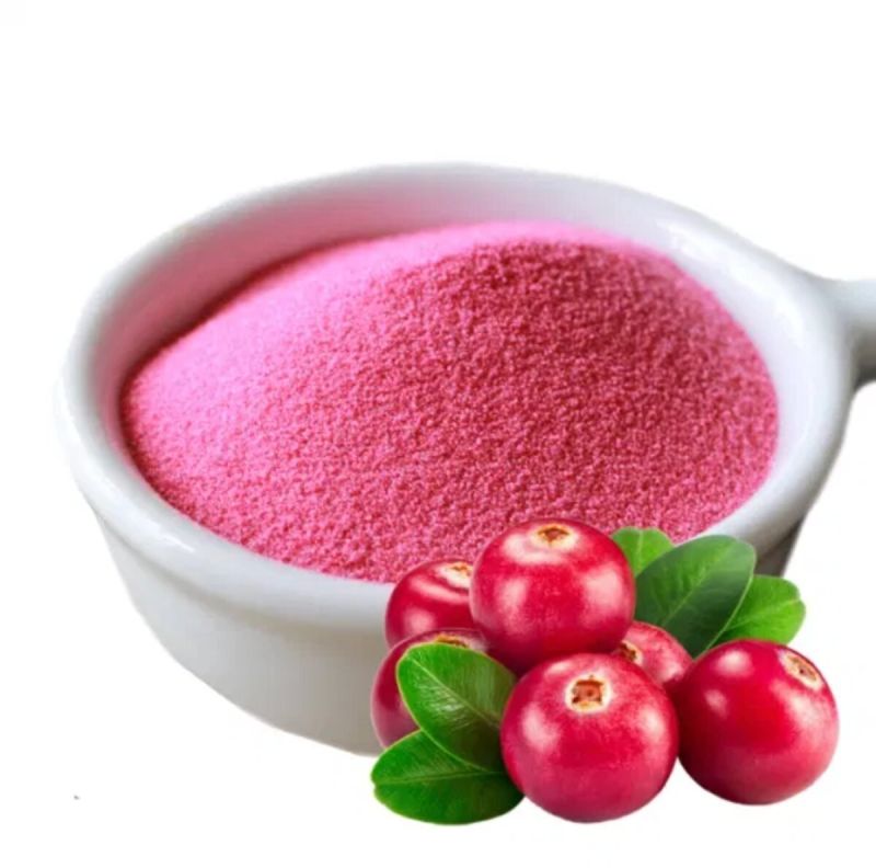 Spray Dried Cranberry Powder, Packaging Type : Plastic Packet